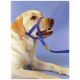 Dog Head Collar Halti size 4