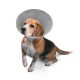 Elizabethan Collar Threaded Buster 10cm